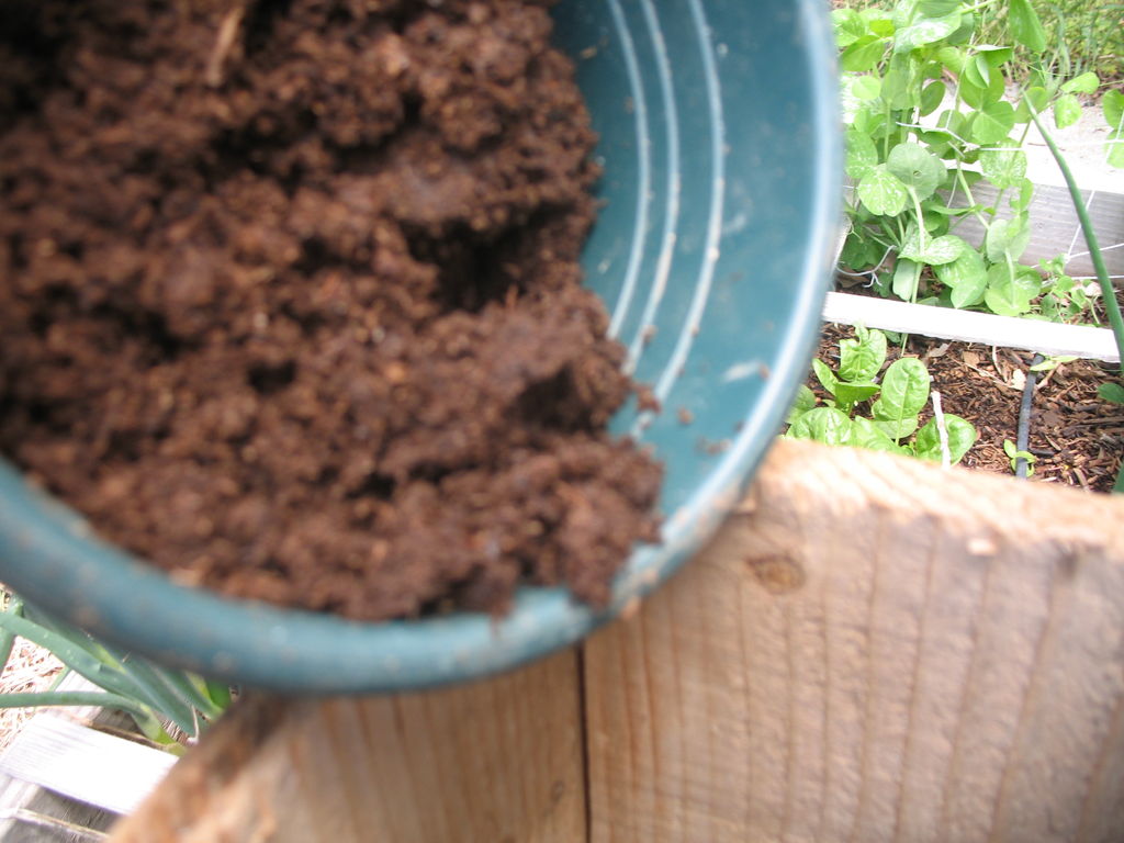How To Make A Worm Cafe – Compost With Earthworms Right In Your Garden...