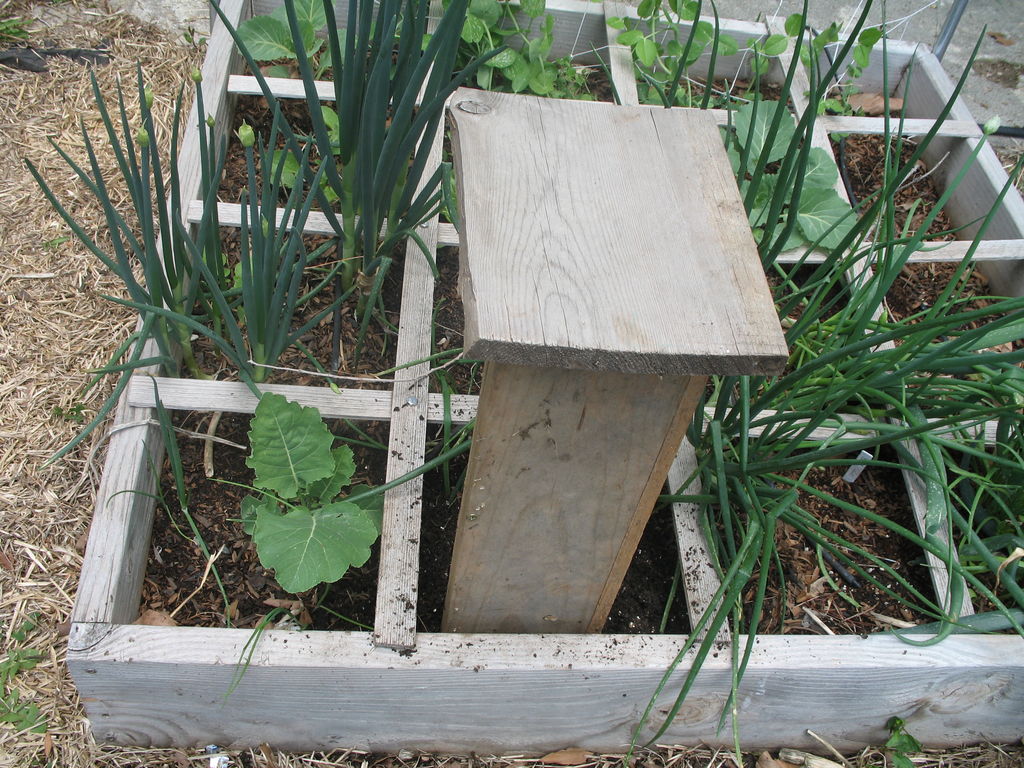 How To Make A Worm Cafe – Compost With Earthworms Right In Your Garden...