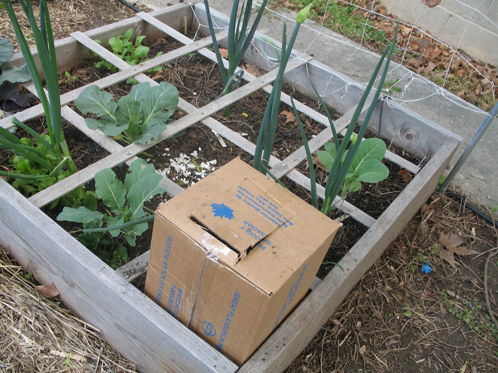 How To Make A Worm Cafe – Compost With Earthworms Right In Your Garden...