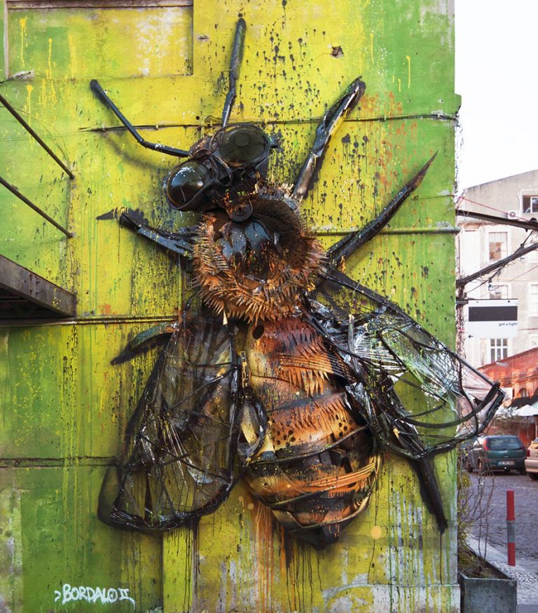 Street Artist Transforms Ordinary Junk Into Animals To Remind About Pollution...