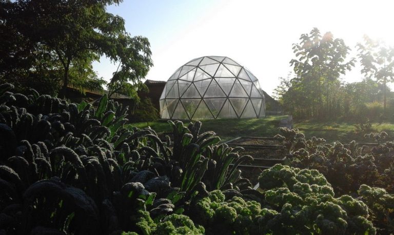 Elegant Geodesic Homes Can Withstand Earthquakes Measuring 8.5 Magnitude...