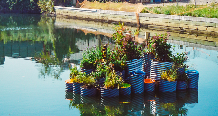 This Tiny Floating Garden Is Successfully Cleaning The Most Polluted Waterway In The U.S...