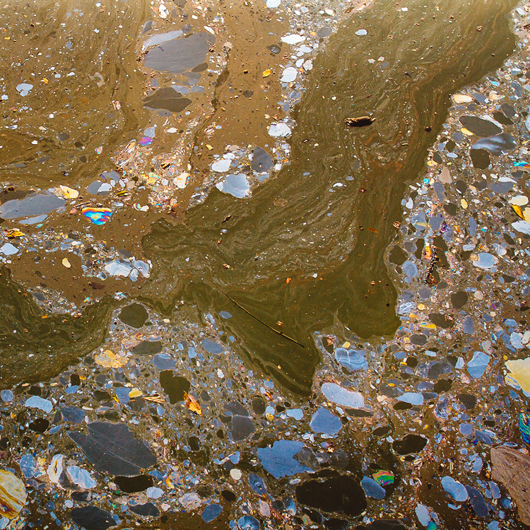 This Tiny Floating Garden Is Successfully Cleaning The Most Polluted Waterway In The U.S...