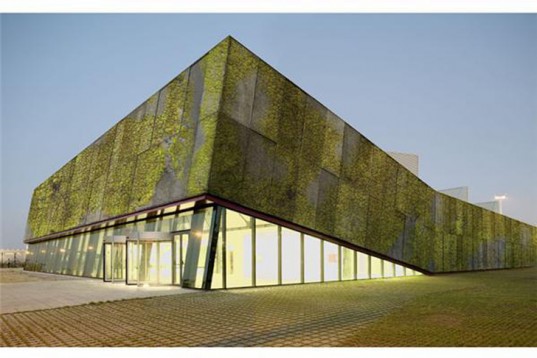 Newly-Developed Concrete Absorbs CO2, Insulates, And Is Also A Vertical Garden...