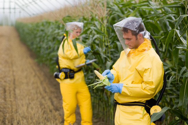 Sorry Monsanto, But GMO Crops Are Now Banned In 38 Countries & Only Grown In 28...