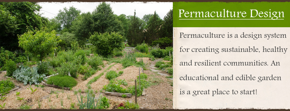 The Power Of Permaculture For Sustainable, Healthy, Resilient Communities...