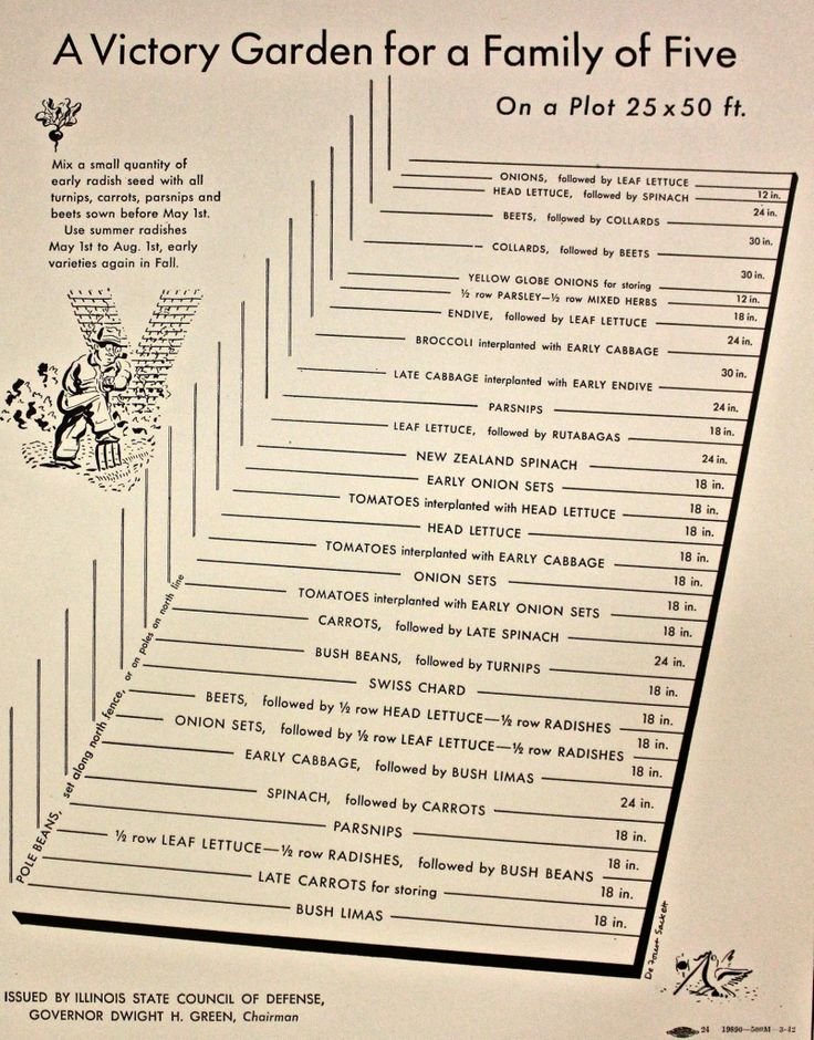 A Vintage Victory Garden Plan For A Family Of 5...