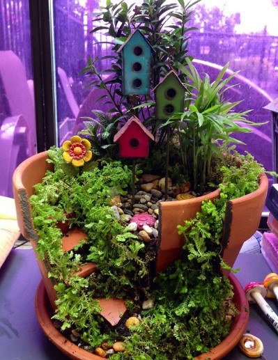 Broken Pots Upcycled Into Brilliant DIY Fairy Gardens...