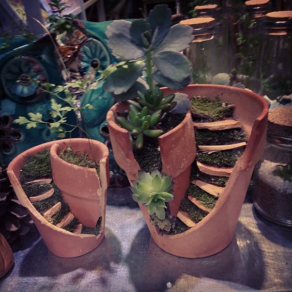 Broken Pots Upcycled Into Brilliant DIY Fairy Gardens...