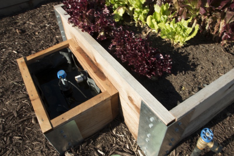 How To Build An Epic Self Watering Garden...