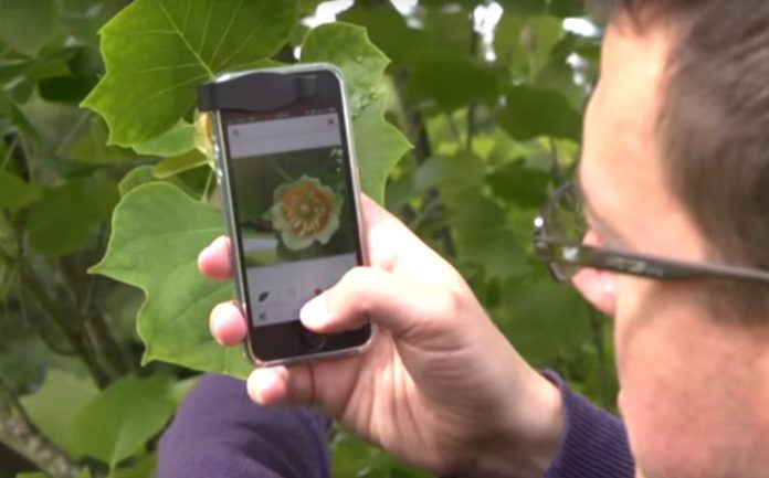 Free Mobile App For Plants Can Identify ANY Plant Species From A Photo...