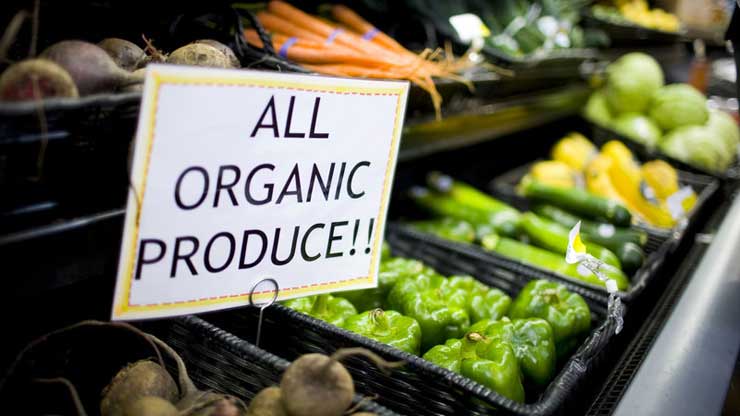Denmark Intends To Be The World’s FIRST 100% Organic Nation...