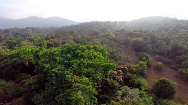 This Couple Buys Old Farmland & Turns It Into Wildlife Sanctuaries...