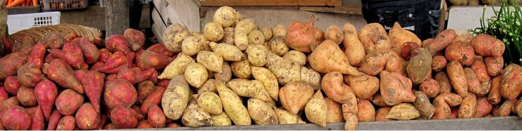 How To Grow 25 Pounds Of Sweet Potatoes In A Bucket...