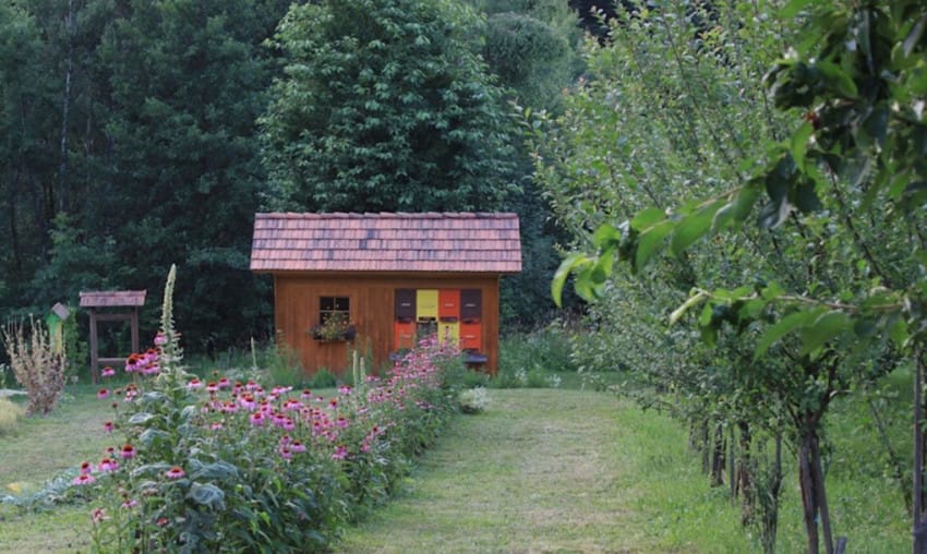 Grass Hill Hides A Magical Hobbit Teahouse In Slovenia...