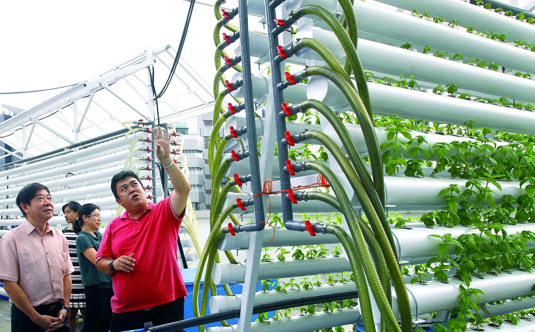 Vertical Rooftop Farm Changes The Way Hotels and Restaurateurs Source Their Ingredients...