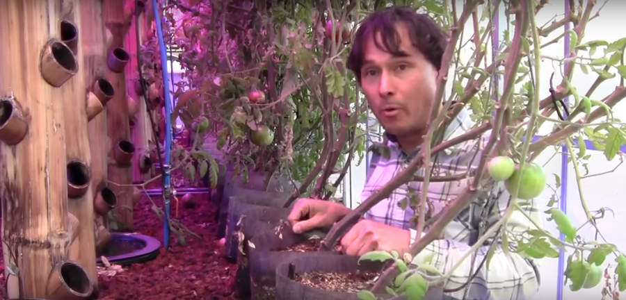 Vertical Aquaponics System Uses Bamboo Towers In Greenhouse To Increase Production 10x...