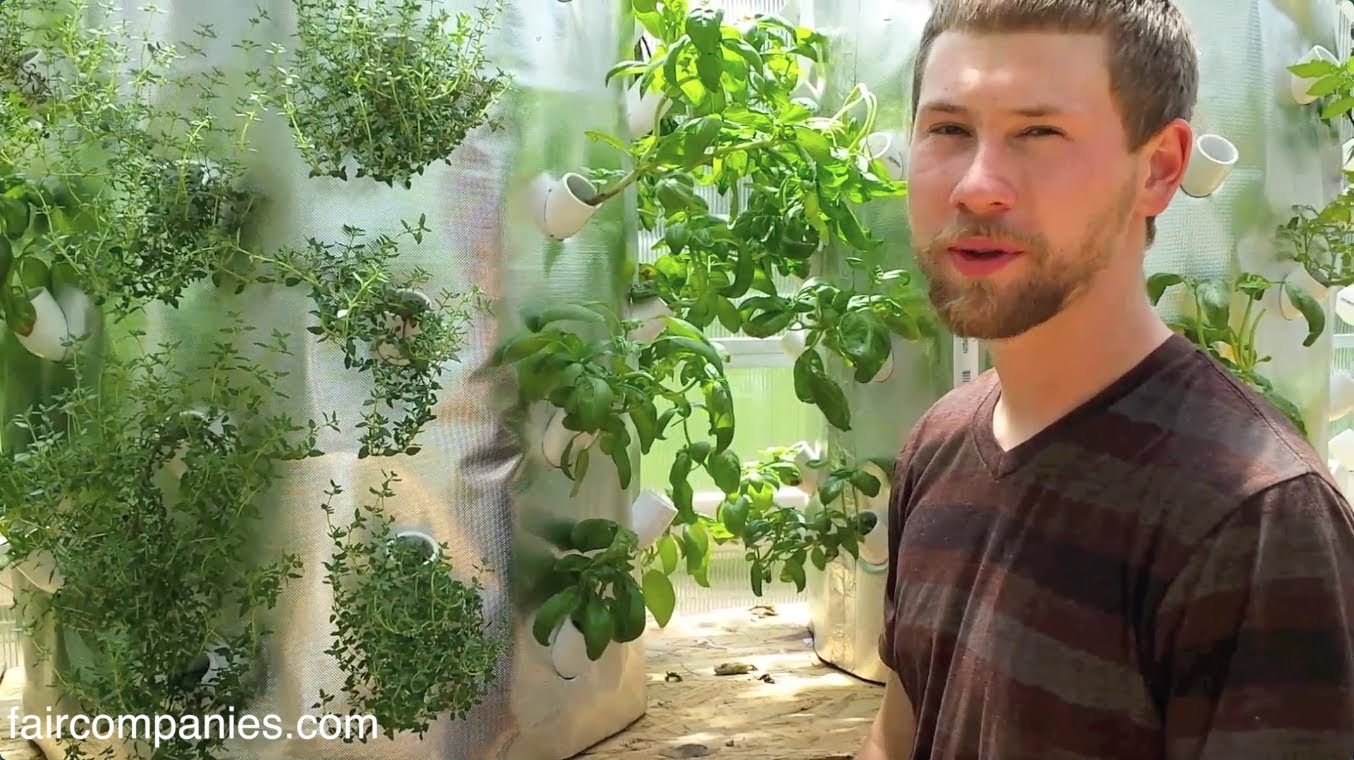 Backyard Aeroponics: A Self-Sustaining Farm In Wisconsin...