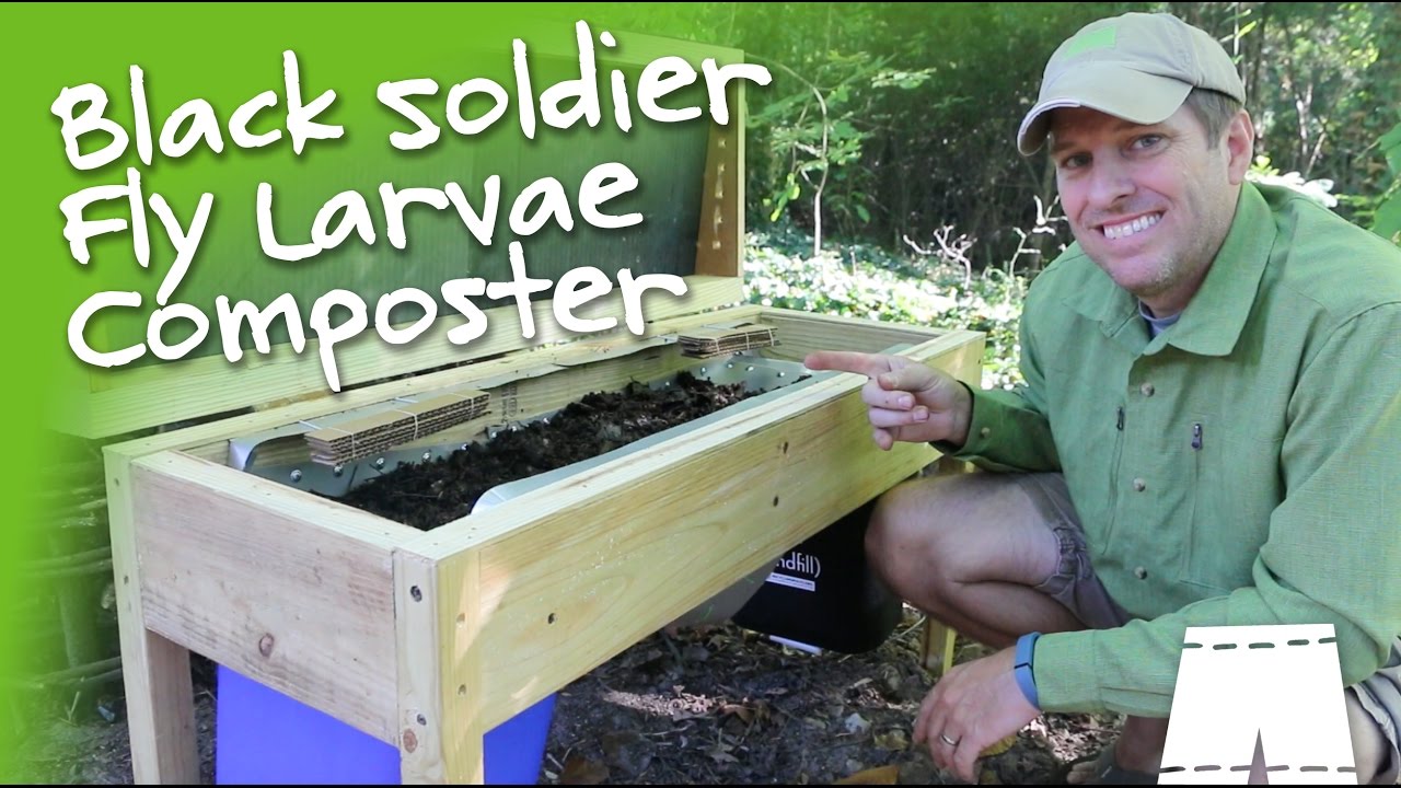 How To Make & Operate A DIY Soldier Fly Larvae Composting Bin...