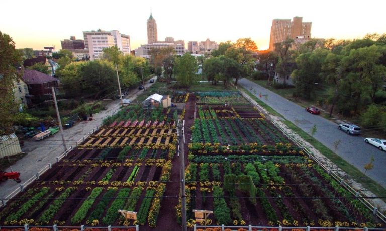First Urban ‘Agrihood’ In America Feeds 2,000 Households For Free...