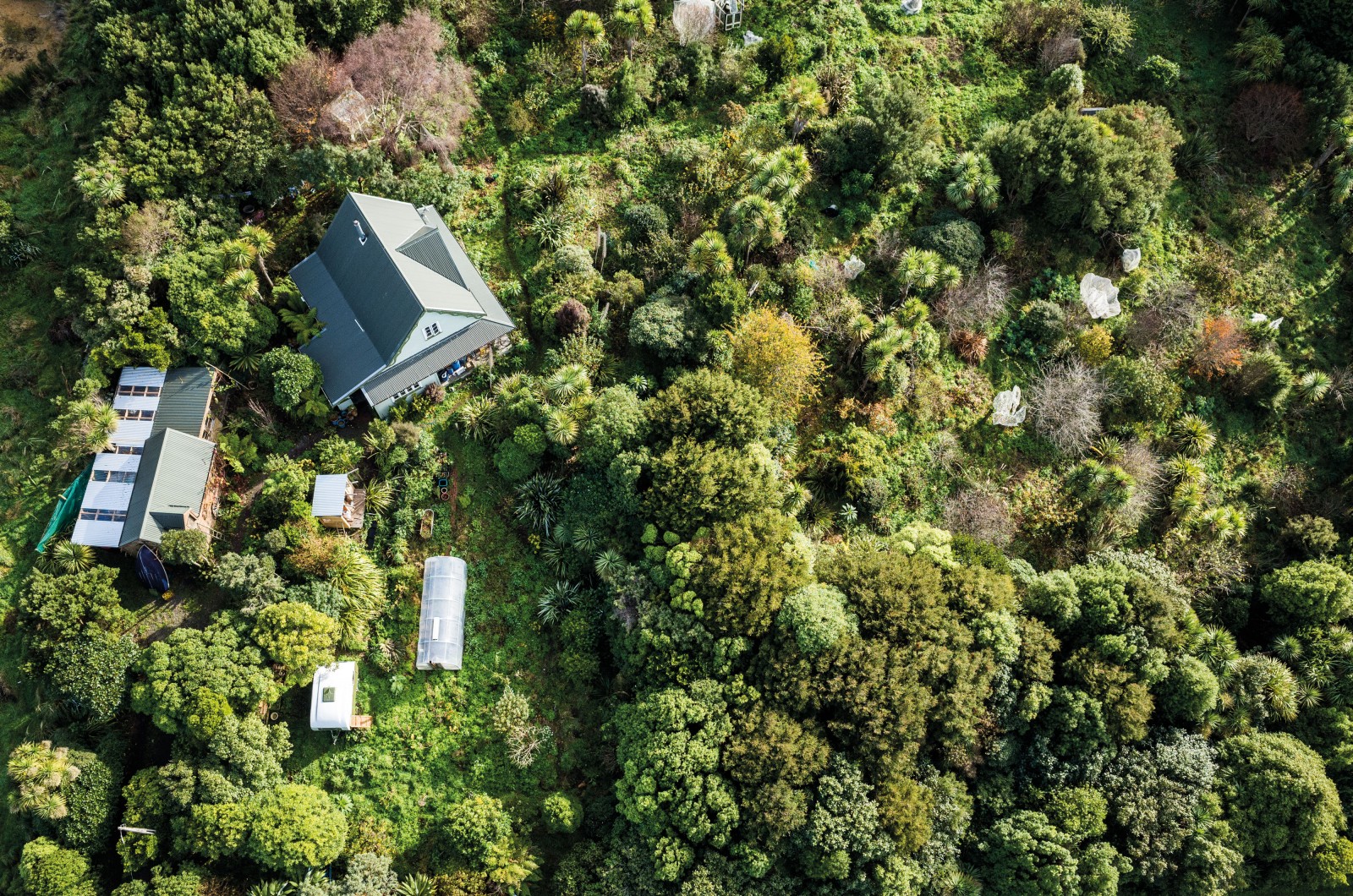 An Inspiring, Thriving, 23-Year-Old Permaculture Food Forest...