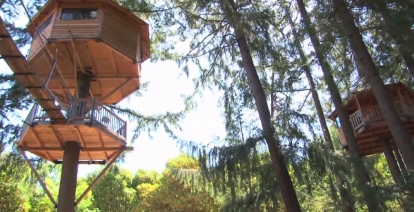 DIY Treehouse Inventor Creates Ewok World In Rural Oregon...