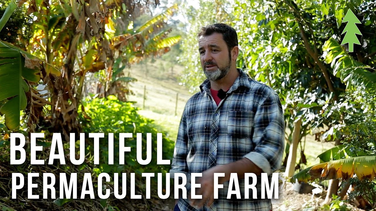 A Beautiful 1-Acre Small Scale Permaculture Farm That Feeds 50 Families...