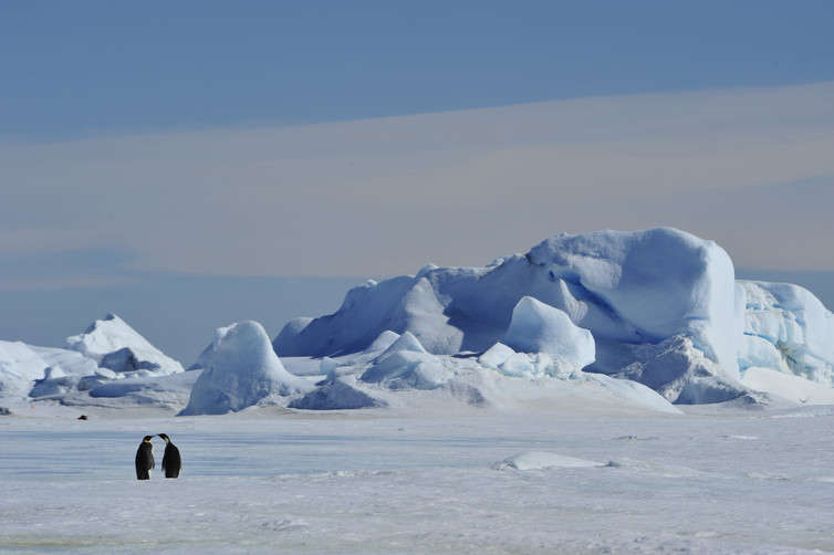 We Are Heading For The Warmest Climate In Half A Billion Years, Says New Study...