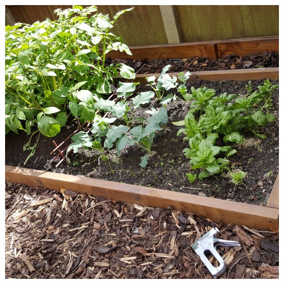 How To Make A 9 Volt Electric Fence To Keep Snails & Slug’s Out Of Your Garden Beds...