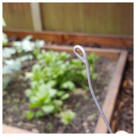 How To Make A 9 Volt Electric Fence To Keep Snails & Slug’s Out Of Your Garden Beds...