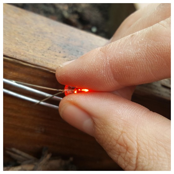 How To Make A 9 Volt Electric Fence To Keep Snails & Slug’s Out Of Your Garden Beds...