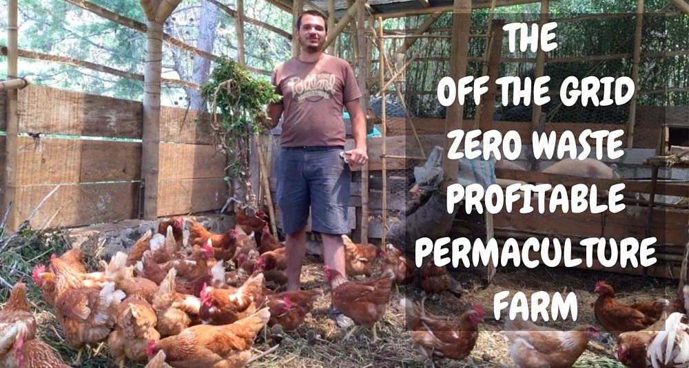 An Off The Grid, Zero Waste, Profitable Permaculture Farm...