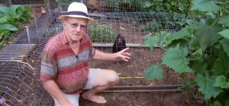 Clever Tunnel System Makes Chickens Do The Gardening...