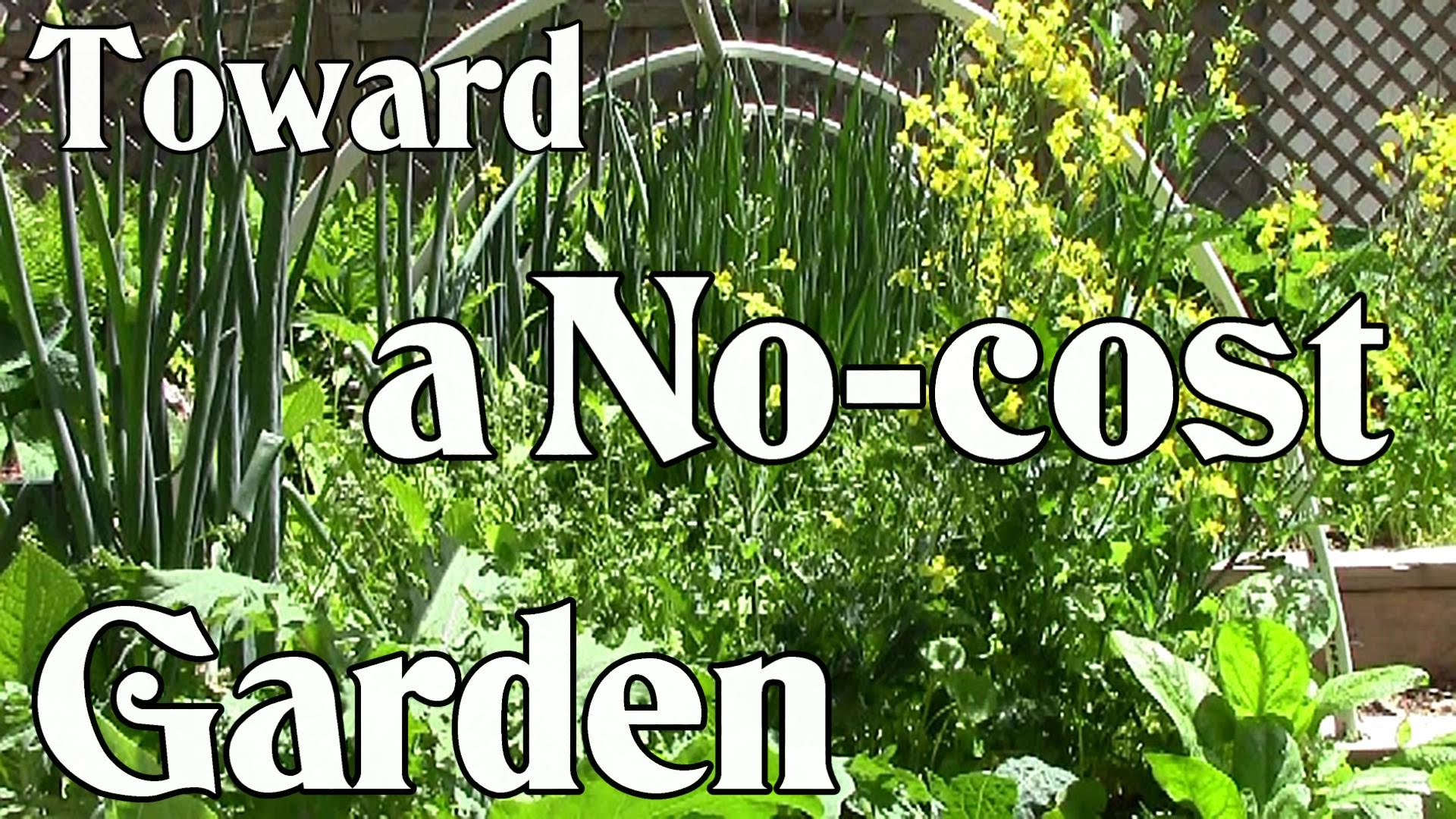 Toward A No-Cost Garden: Grow Your Own Food For Next To Nothing