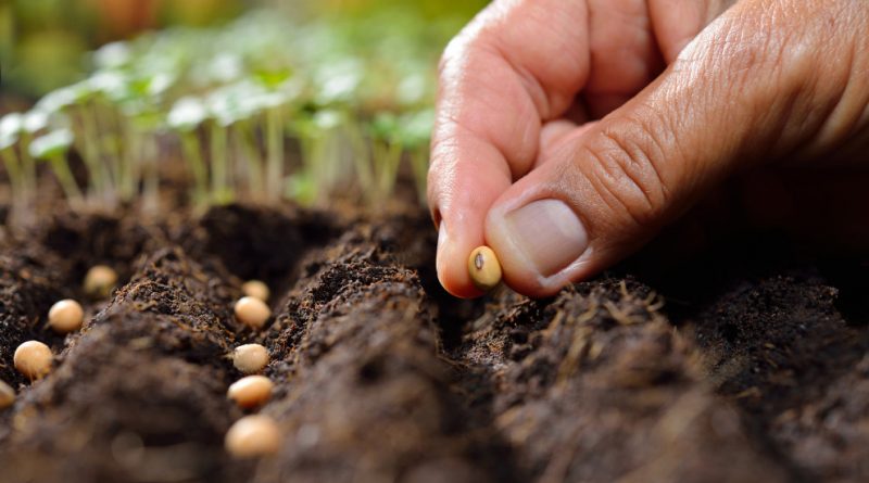 29 States Just Banned Laws About Seeds…