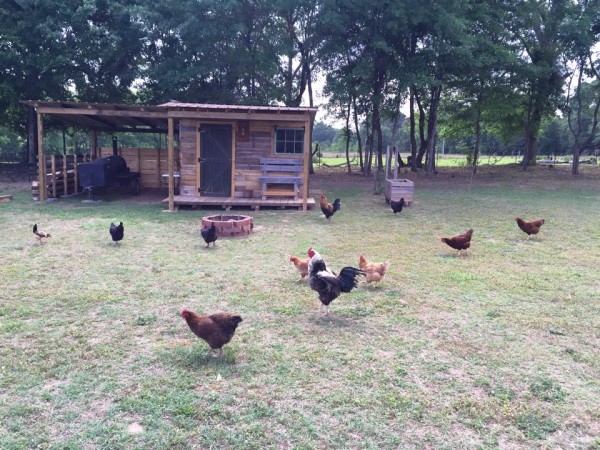 Man Builds 12×12 Tiny Pallet Cabin With Free Pallet Wood...