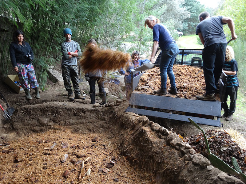 Vermicomposting Toilets: Low Tech Approach For Ecofriendly Human Waste Disposal...