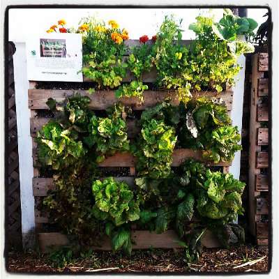 How To Make A Vertical Pallet Garden...