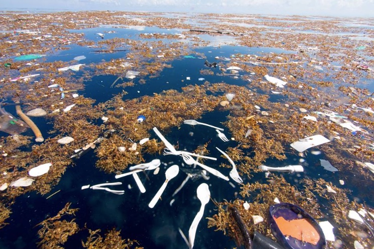 Shocking Sea Of Plastic & Styrofoam Captured In Pictures From Caribbean...