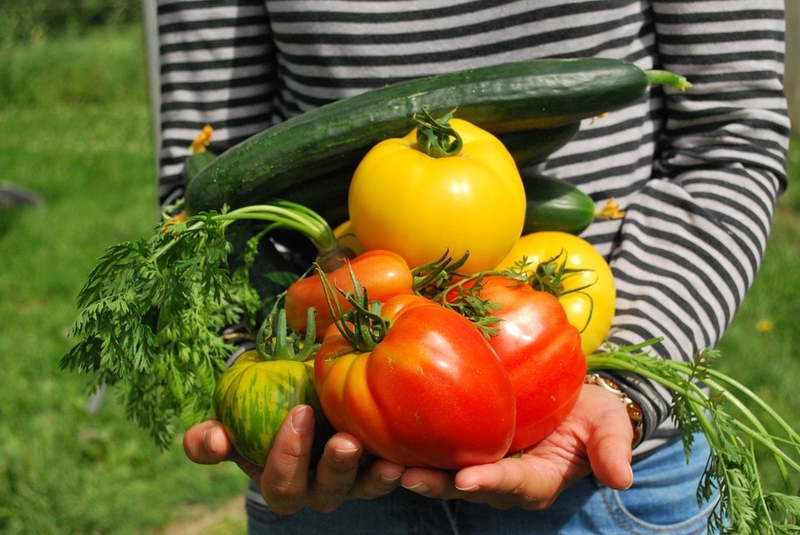 Is Growing Your Own Vegetables A Fundamental Right?