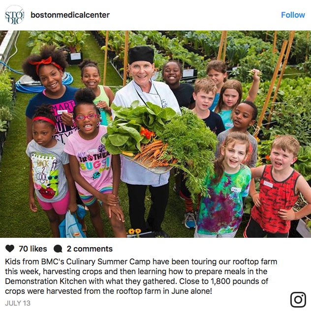 Hospital Constructs Biggest Organic Rooftop Farm In Boston...