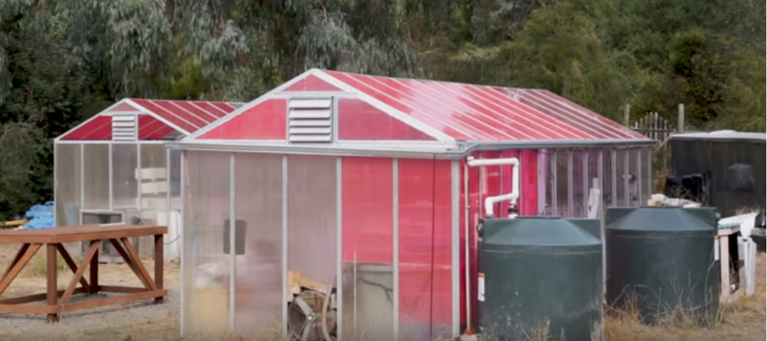 Solar Greenhouses Generate Electricity & Grow Crops At The Same Time...