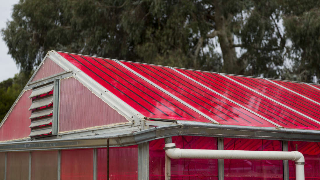 Solar Greenhouses Generate Electricity & Grow Crops At The Same Time...