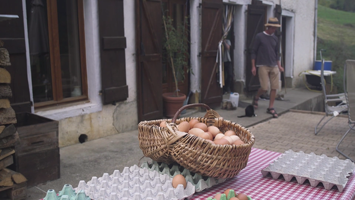 O'Naturel – 250 Pastured Laying Hens In The French Pyrenees....