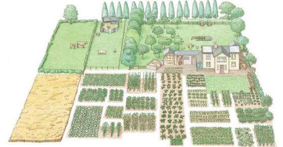 How To Start Your Own 1-Acre, Self-Sustaining Homestead...