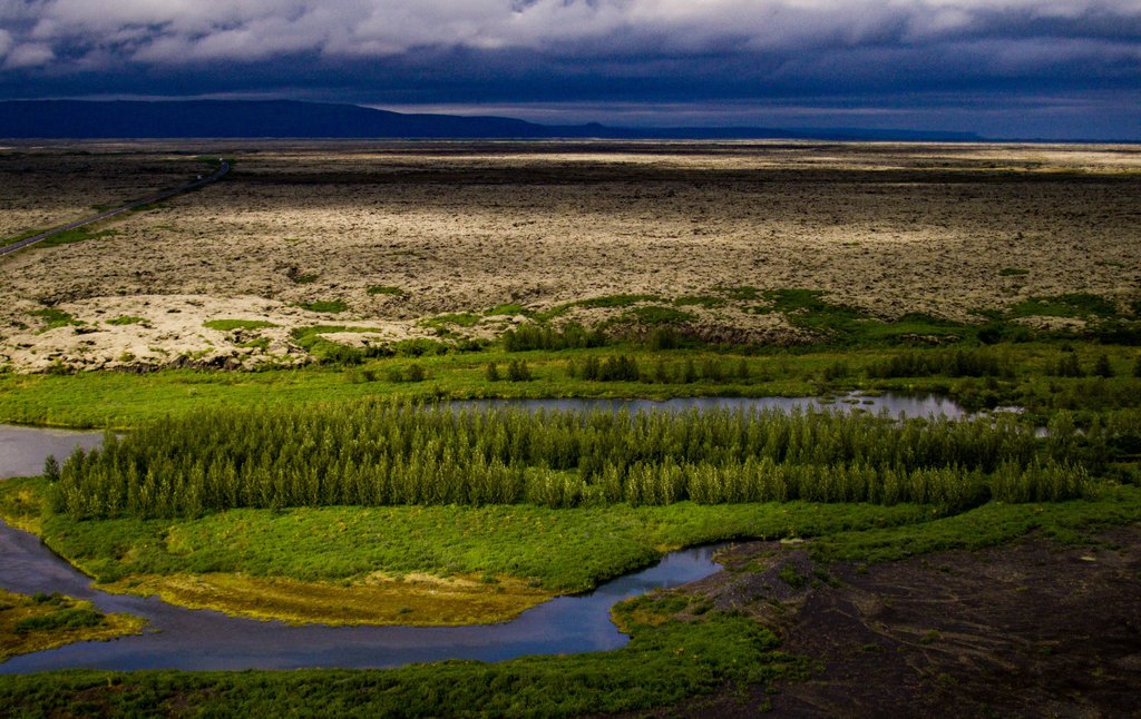 Iceland Is Growing New Forests For The First Time In 1,000 Years...