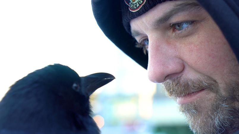 'Canuck & I' Explores The Unique Bond Between A Crow & His Human Friend...