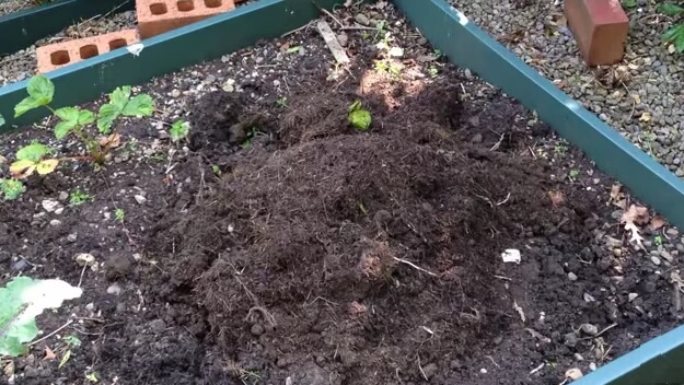Enriched Garden Soil – Supercharge Your Soil This Spring...