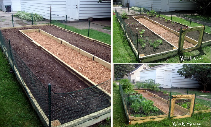 Ideas & Inspiration For Building A Raised Garden Bed...