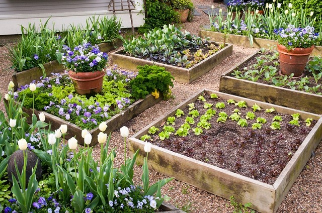 Ideas & Inspiration For Building A Raised Garden Bed...